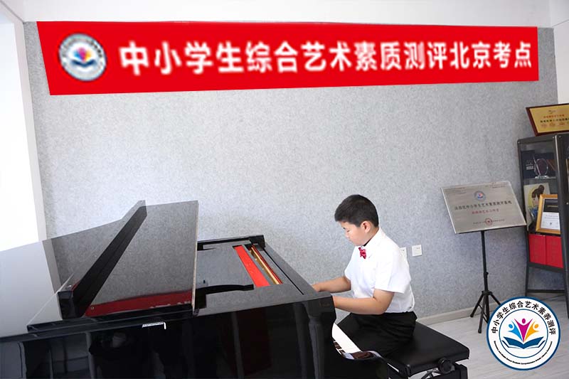 中小学生艺术评估监测网