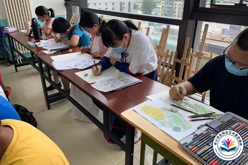 中小学生综合艺术素质测评北京考点